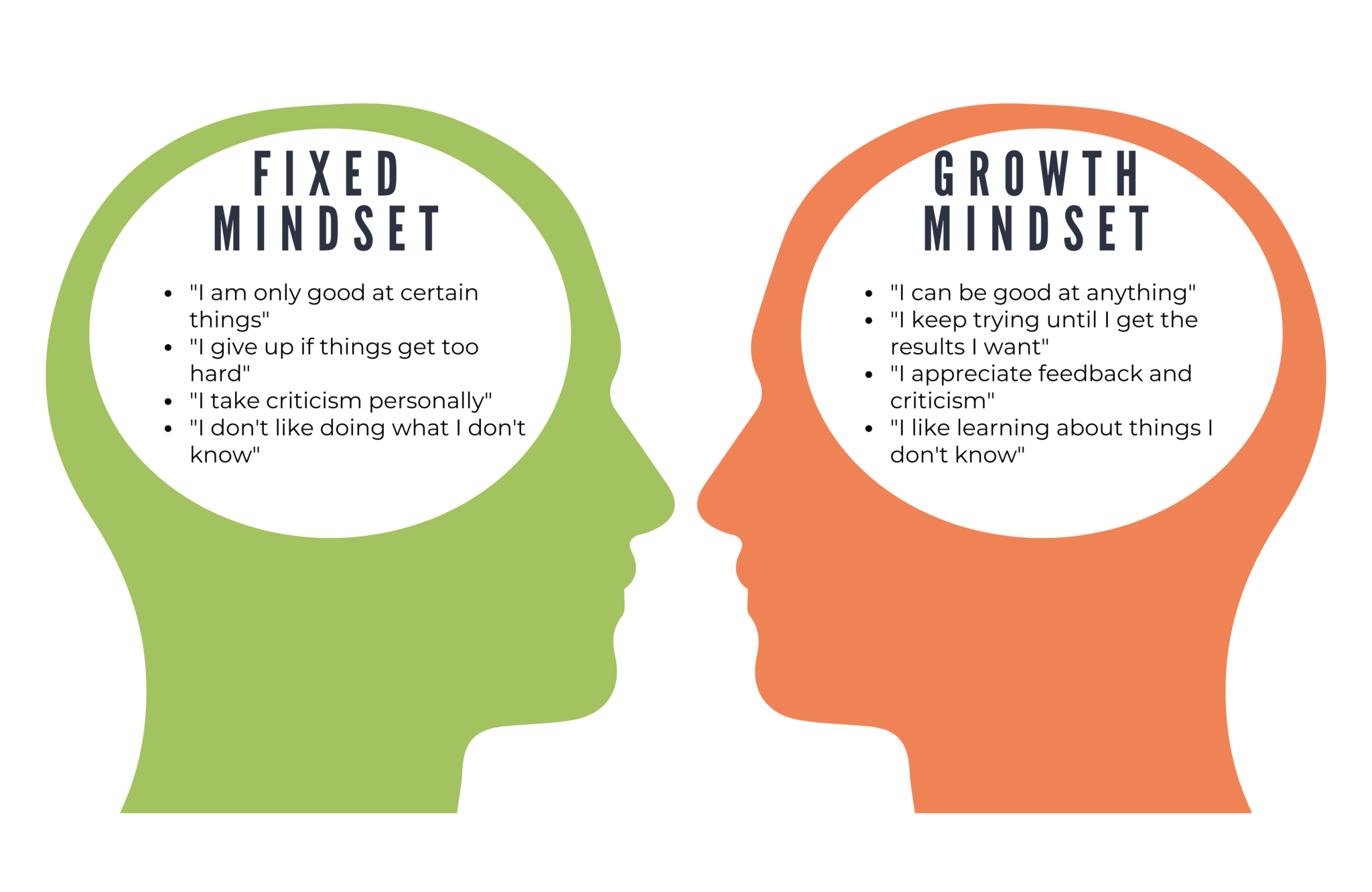 The Growth Mindset & Fixed Mindset 